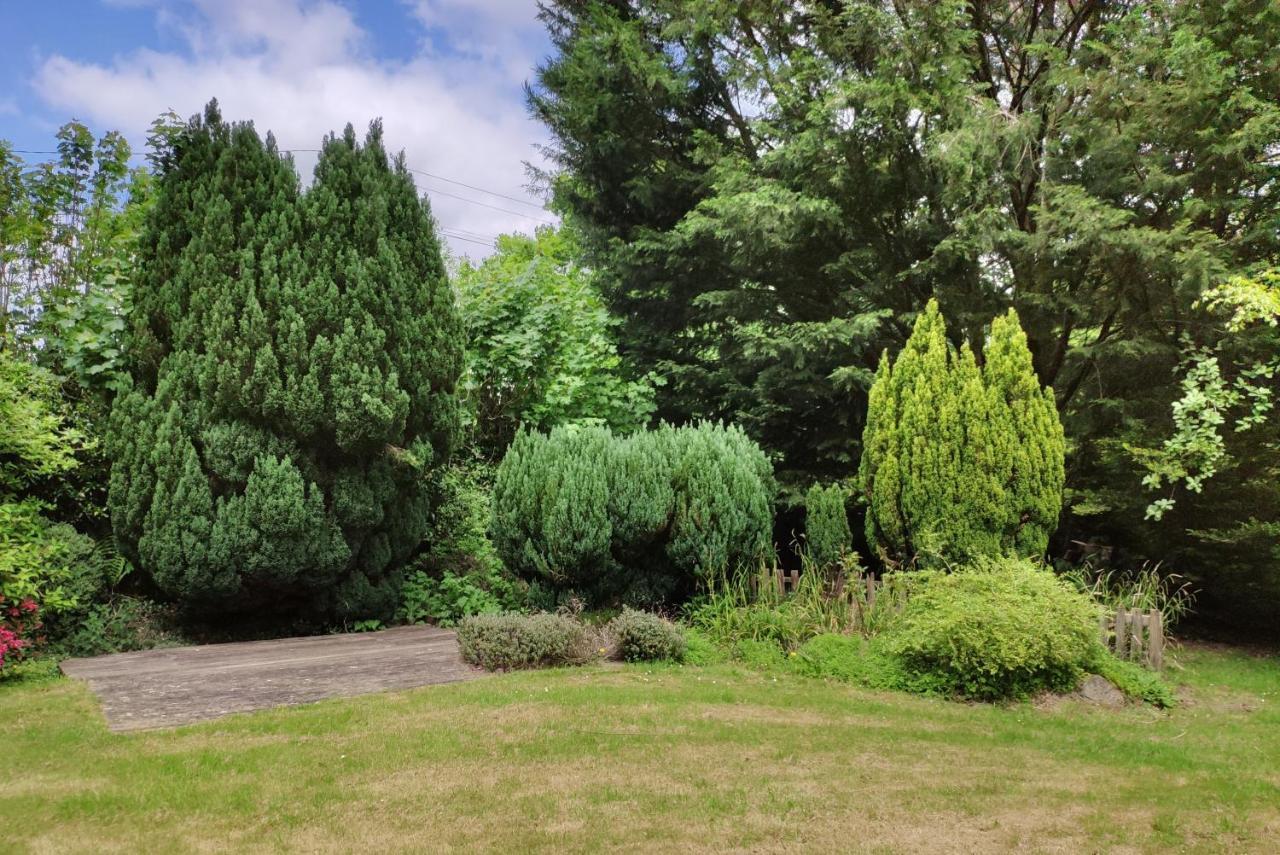 The Annex Roundaway Lodge Okehampton Esterno foto